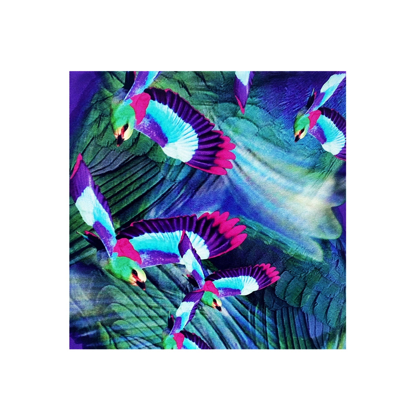 Hummingbird violet Pocket square