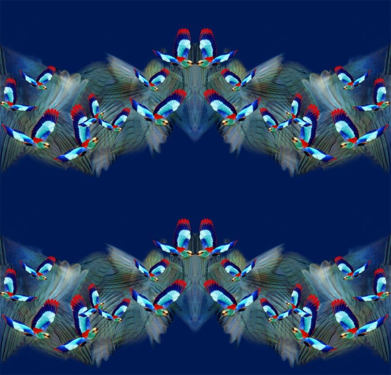 Hummingbird Silk Scrunchie (dark/light blue)