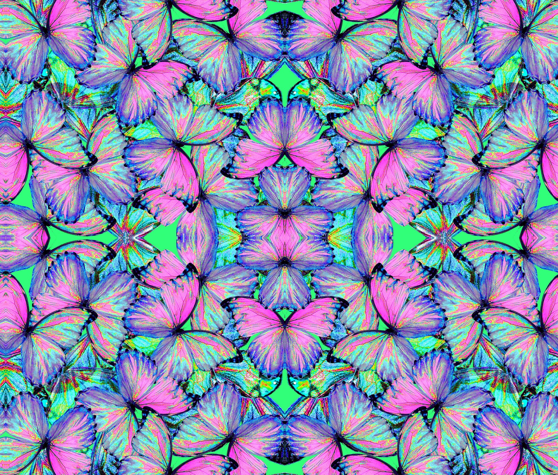 Féileacán (Butterfly) Silk Scrunchie