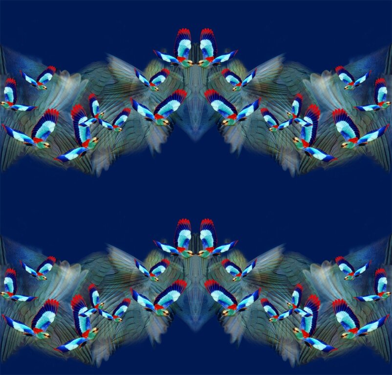 Hummingbird Bow Tie (Single Layer)