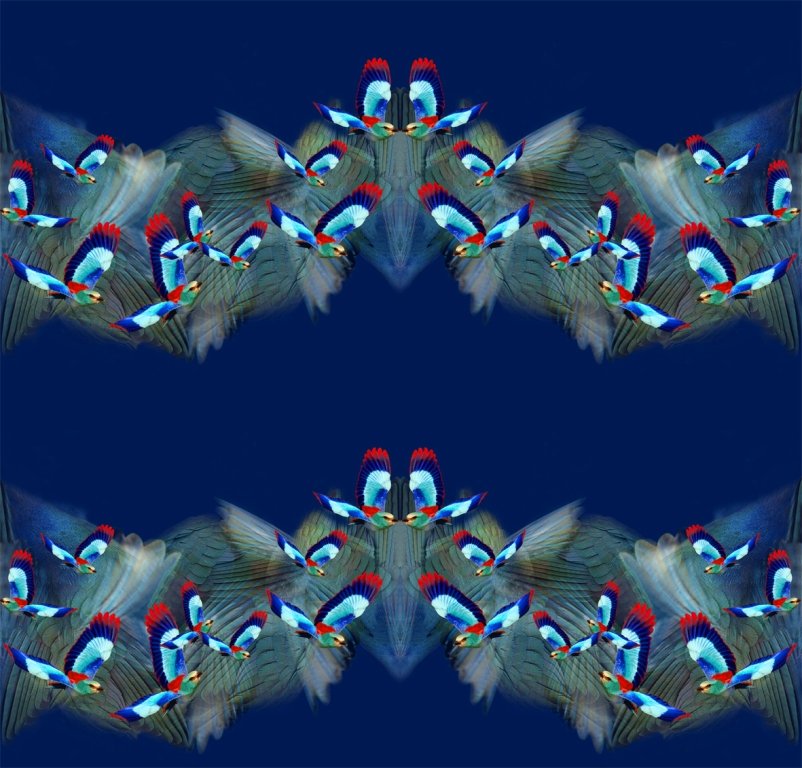 Hummingbird Bow Tie and Pocket Square (blue/ purple)