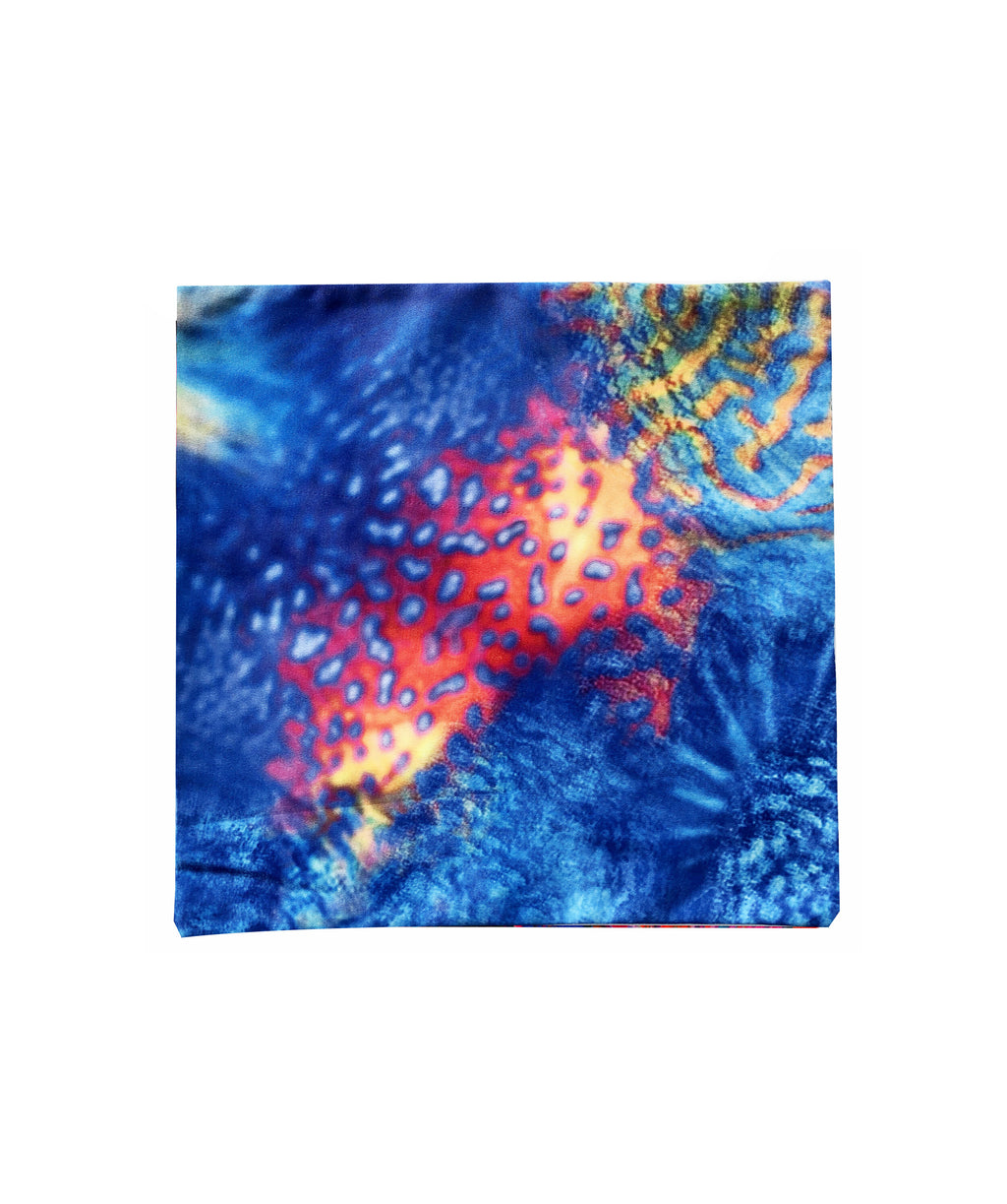 Ocean Underworld Pocket Square