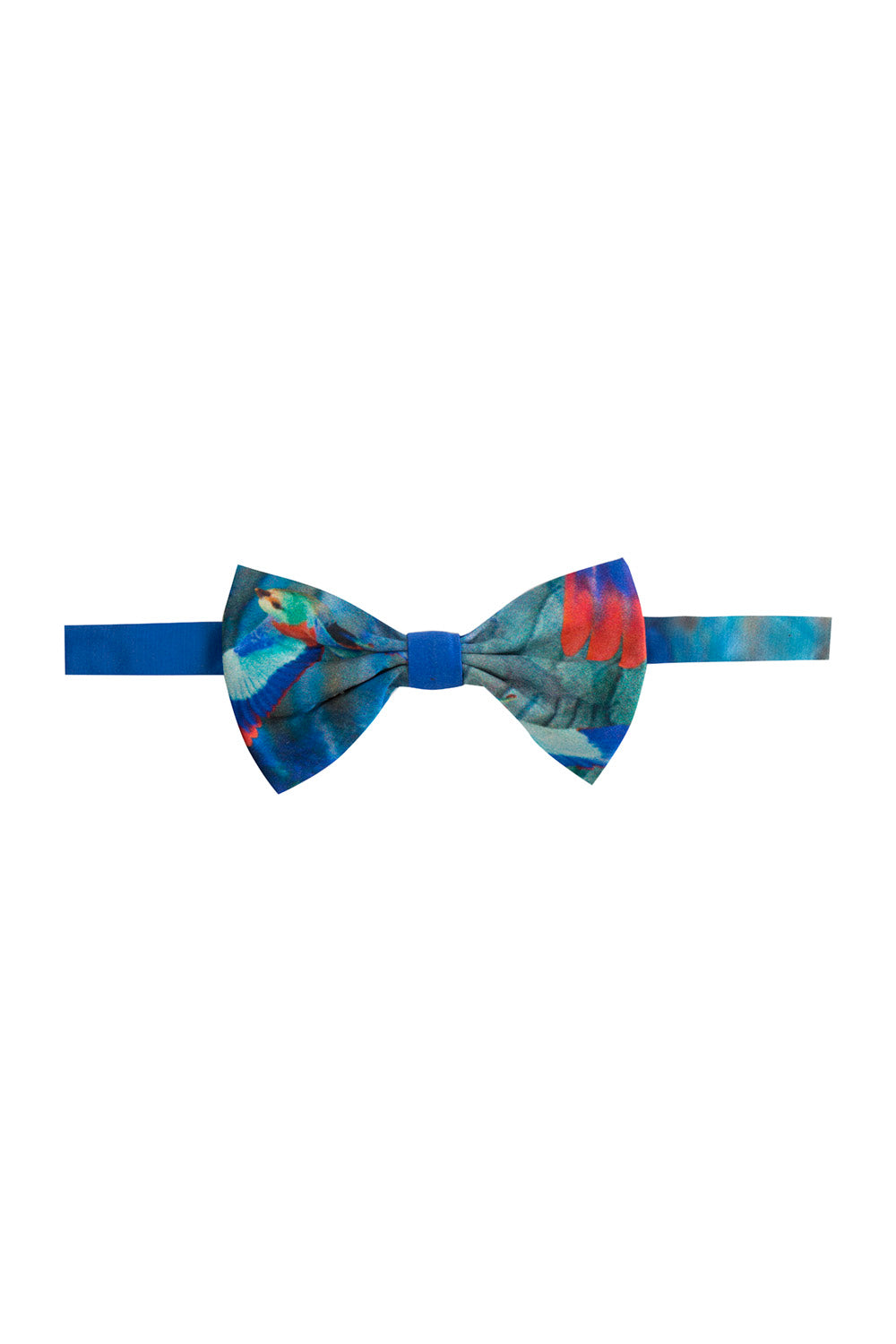 Hummingbird Bow Tie (Single Layer)